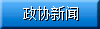 政协新闻